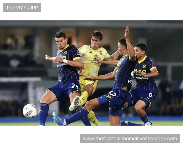 维罗纳反击效率