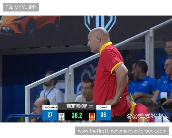 国家队关键战：弗拉霍维奇在国际赛场的表现