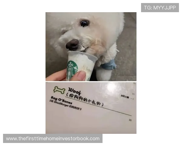 史梦瑶每天喝的水都是定制的，我连她家狗喝啥牌子都好奇